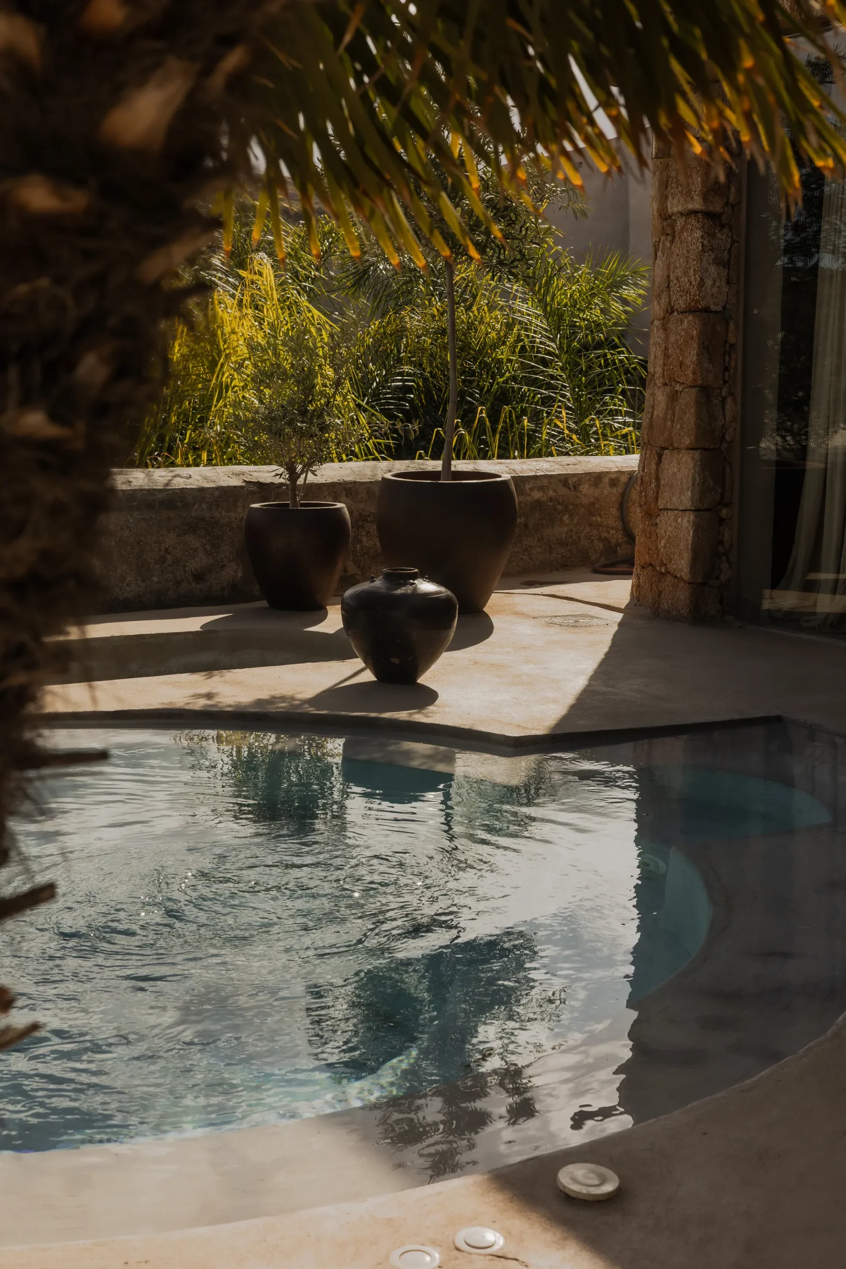 EcoHotel El Agua, view 1