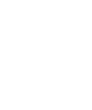 Lifestyle Hotels
